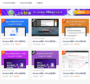 WordPress教程:RiPro主题美化 – 添加资源VIP角标
