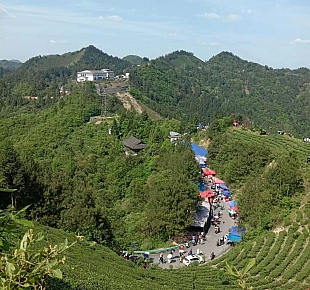 雷山县三角田爬坡节,站得高看得远风光无限好