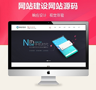 亲测可用网站建设软件开发小程序开发类网站织梦模板(建站送)