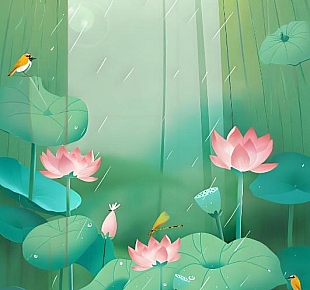 荷花在雨中显得更加娇艳欲滴,一只蜻蜓轻轻地停在荷花的尖角上